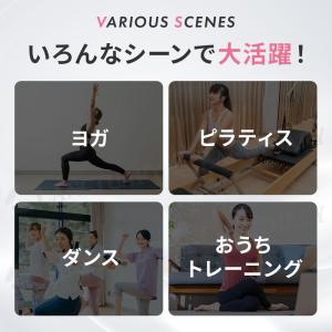 姿勢サポートソール ヨガシューズ ヨガソックス...の詳細画像2