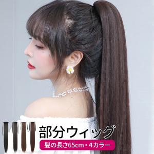 ポニーテール ウィッグ クリップ式 ポイントウィッグ かつら エクステ