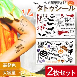 タトゥーシール 送料無料 選べる2枚セット キラリと輝くタトゥー