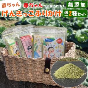 ふりかけ 菌ちゃんげんきっこ 元気っこ 無添加 栄養 菌ちゃんファーム