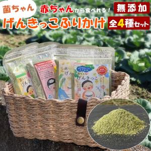 ふりかけ 菌ちゃんげんきっこ 元気っこ 無添加 栄養 菌ちゃんファーム 腸活 野菜 子供 無添加 ちょい足し 離乳食 海のミネラル 野菜 発酵力 食材 爆買