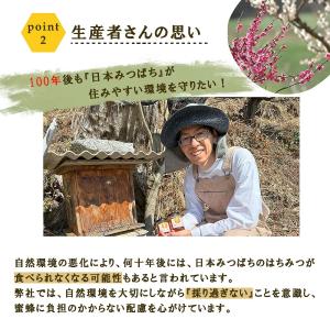 国産蜂蜜 はちみつ 日本ミツバチ 600gプレ...の詳細画像4