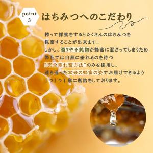 国産蜂蜜 はちみつ 日本ミツバチ 600gプレ...の詳細画像5