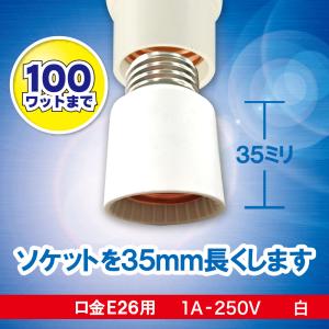 岩崎電気 岩崎 屋内投光用アイランプ（レフランプ） 散光形 300W形