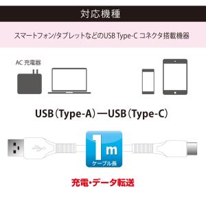 AudioComm Type-Cケーブル US...の詳細画像3