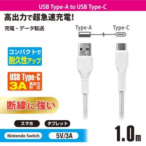 AudioComm Type-Cケーブル US...の詳細画像4