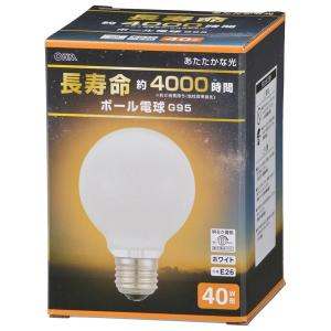 アサヒ（asahi） 白熱電球 110V 40W ホワイト E26口金 LW110V40W55