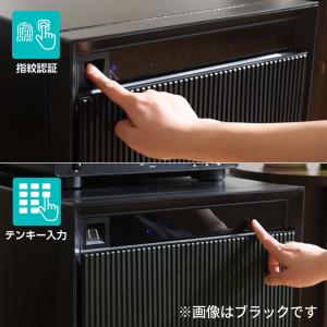 FE53-WH ダイヤセーフ 指紋テンキー式耐...の詳細画像1