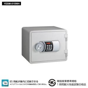 ダイヤセーフ（Diamond Safe） DW30-1 家庭用金庫 2キータイプ