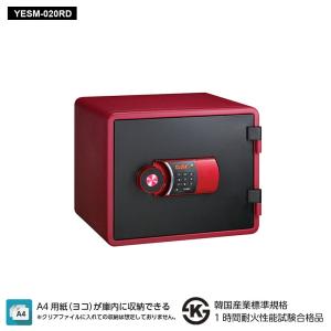 ダイヤセーフ（Diamond Safe） DW30-1 家庭用金庫 2キータイプ