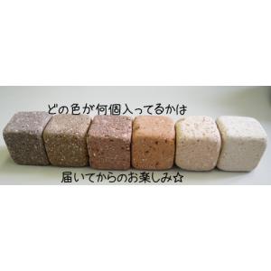 コロン♪と可愛い　サイコロレンガ 10個SET　50mm角　1個：230g　ミニレンガ　キューブブリック