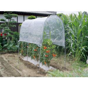 50本セット) トンネル支柱 菜園型 11C-6 φ11mm 長さ1800mm 幅850mm 高 