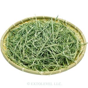PASTURE PREMIUM FEEL (繊...の詳細画像2