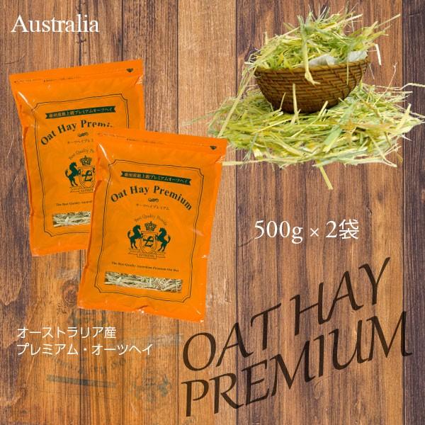 令和6年 オーツヘイ | 産地別注緑のオーツヘイ | うさぎ 小動物 | 競走馬プレミアム加工 | ...