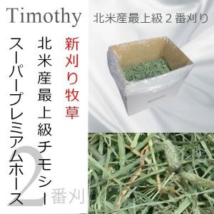 令和5年産 大容量 チモシー | シングルプレス 2番刈り | スーパープレミアムホース | チモシー 牧草 20kg(10kg 2個) | 競走馬業務用牧草 | 同梱不可