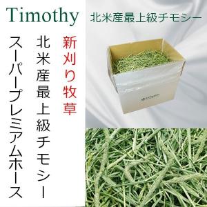 EXTOLEVEL 令和6年産 (濃緑) 新刈り 大容量 チモシー | シングル EXTOLEVEL 令和6年産 (濃緑) 新刈り 大容量 チモシー | シングル