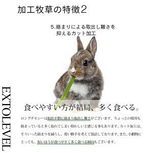 RENEWAL 3種類選べる プレミアムチモシ...の詳細画像5