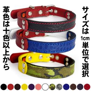 首輪 中型犬用  革 2cm幅：2cm Type FB  【色は十色以上から、サイズは1cm単位でオーダー】