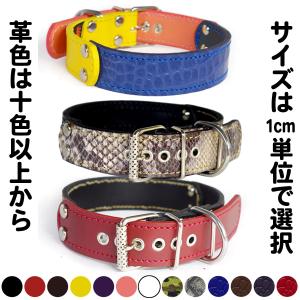 4cm幅中大型犬用革首輪（黒＋白）4cmTypeF-000 : エクストラヘビー
