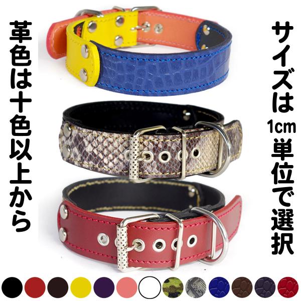 首輪 中型犬用  革 3cm幅：3cm Type FB  【色は十色以上から、サイズは1cm単位でオ...