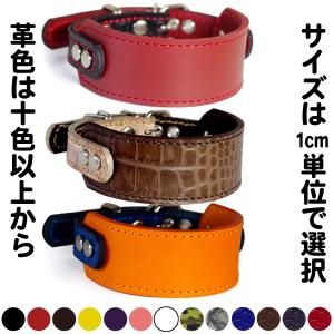 首輪 ウィペット 革 4cm幅：4cm Type G2-000 (鋲なし)【色は10色以上