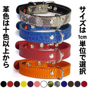 首輪 中型犬用 革 2cm幅：2cm Type 000(鋲なし)【色は10色以上から、サイズは1cm単位でオーダー】