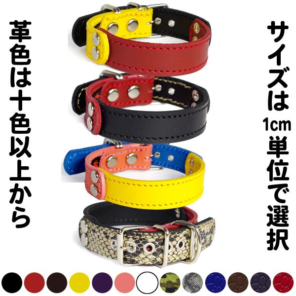 2cm幅 首輪 小型犬 革：Small Type G5-FB*色は十色以上から、サイズは1cm単位で...