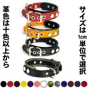2cm幅 首輪 小型犬 革：Small Type GB *色は十色以上から、サイズは1cm単位でオーダー