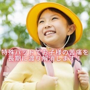 新仕様 当店限定2年保証 ジェルトロン ランド...の詳細画像2