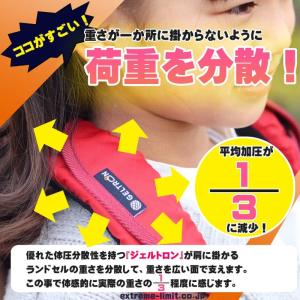 新仕様 当店限定2年保証 ジェルトロン ランド...の詳細画像4