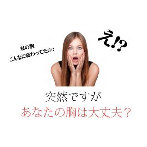 ブラジャー ショーツセット 育乳ブラ ブラショ...の詳細画像2