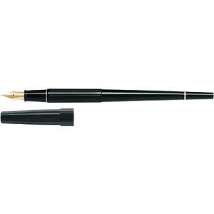 PILOT パイロット デスクペン 14K Posting 本革ケース付 PILOT（パイロット） デスクペン 万年筆 極細 細字 中字 全2色 P-DPP