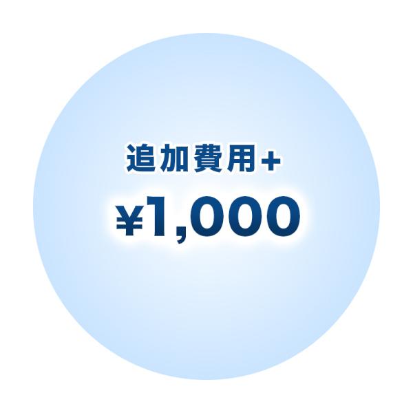 追加費用+1000