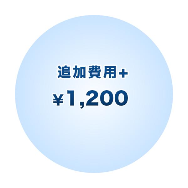 追加費用+1200
