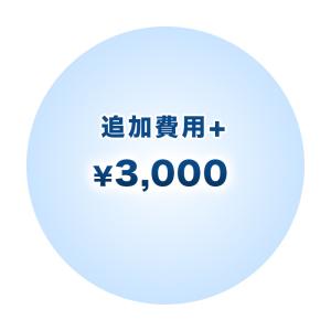 追加費用+3000の商品画像