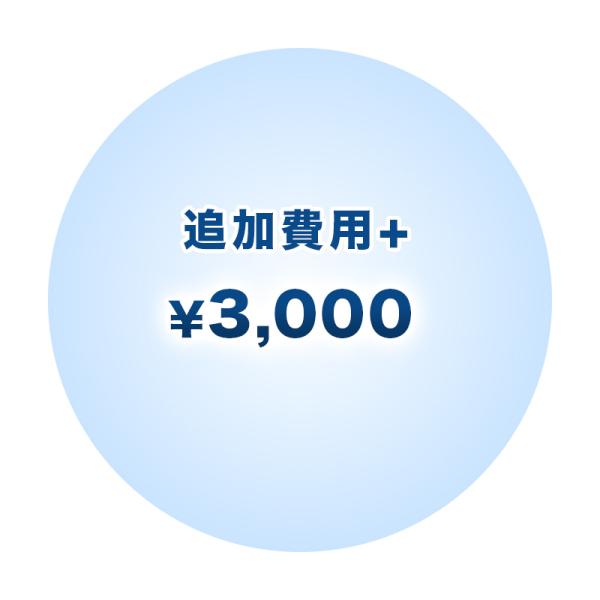 追加費用+3000