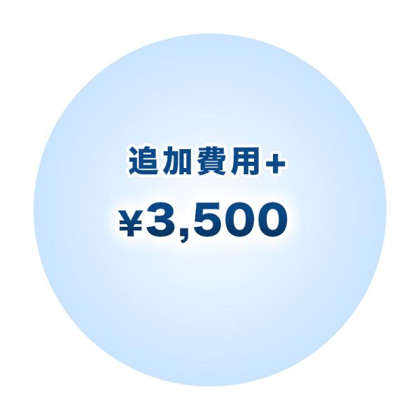 追加費用+3500