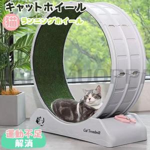 キャットホイール 猫 回し車 ロック装置内蔵 静音低ノイズ 猫専用ルームランナー 猫 ランニングホイール キャットウォーク 運動不足解消 ストレス解消 キャット｜eye-store