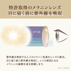 サングラス レディース メラニンサングラス U...の詳細画像5