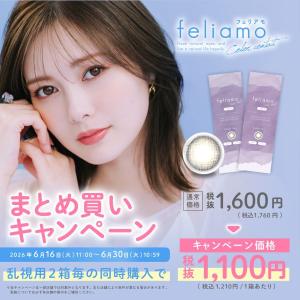 フェリアモ トーリック 10枚 3箱 1日使い...の詳細画像1