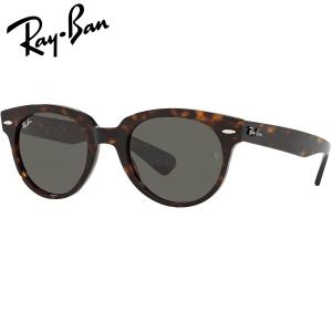Ray-Ban（レイバン） サングラス Ray-Ban RB4259F 601/87 (53サイズ