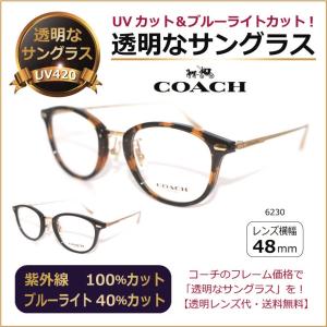 アイブレラクリアノーブル サングラス レディース メンズ UV 紫外線