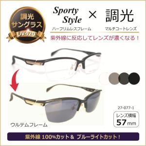 エーグル 可視光調光 サングラス AG-6028 col.3 55mm AIGLE アートEX