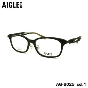 AIGLE（エーグル） 大きいサイズ メガネ AG-1143 col.2 60mm チタン