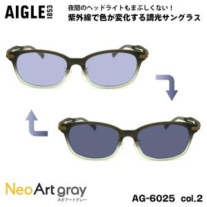 AIGLE（エーグル） 調光 サングラス ネオアート AG-6028 col.2 55m
