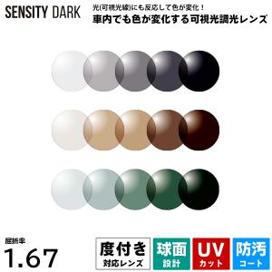 HOYA 度付きレンズ 可視光調光 センシティダーク HOYA SENSITY DARK 非