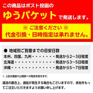 補聴器 耳せん 3個セット ( M/ML/L )の詳細画像1