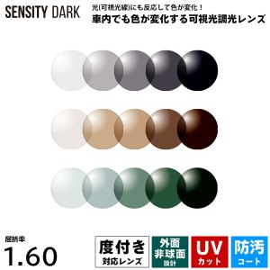 HOYA 度付きレンズ 可視光調光 センシティダーク HOYA SENSITY DARK 非