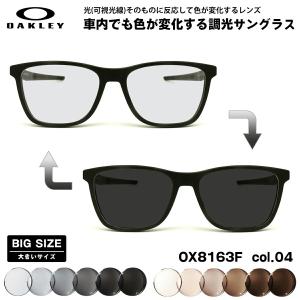 エーグル 可視光調光 サングラス AG-6028 col.3 55mm AIGLE アートEX