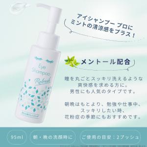 メーカー公式_アイシャンプーリフレッシュ95m...の詳細画像2